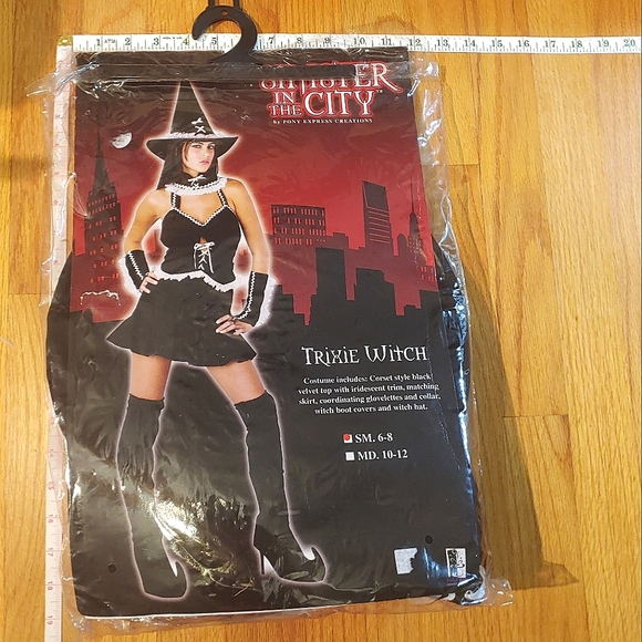 Sinister In The City Dresses & Skirts - Sinister City Trixie Witch Halloween Costume Black Velvet Corset Top Skirt SMALL